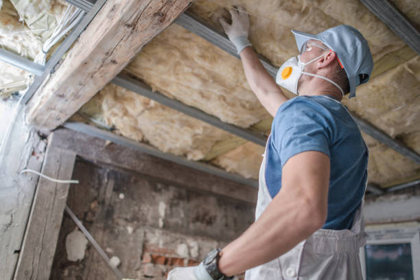 Types of Insulation We Offer in Arcade, GA
